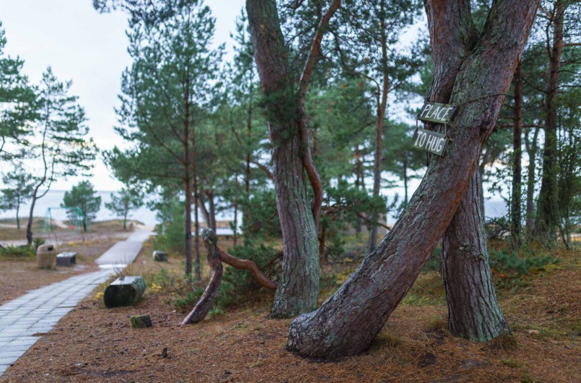 Laulasmaa nature I Beach in Laulasmaa