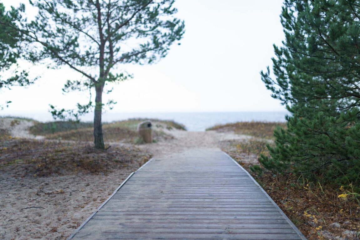 Laulasmaa nature and beach