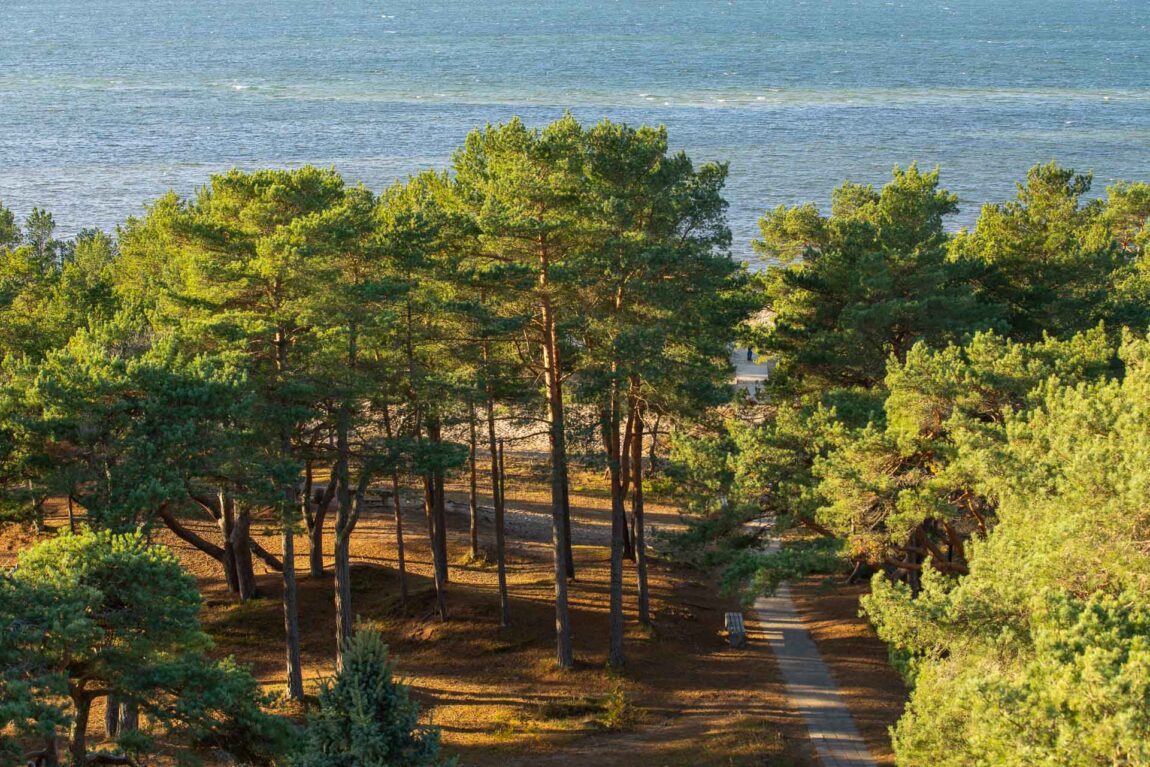 Room view in Laulasmaa