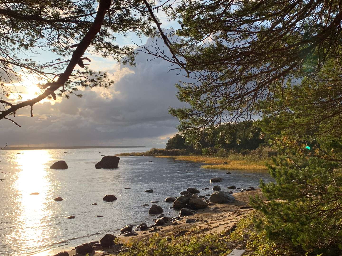 Nature trails in Laulasmaa